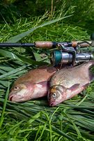 Image result for Fishing Rod and Reel Clip Art