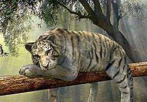 Image result for Coloring Pages of Jungle Animals for Kids