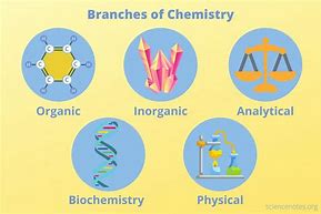 Image result for Branch of Science Worksheets