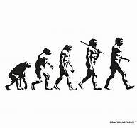 Image result for Human Evolution Lineage