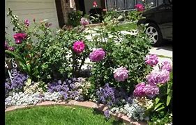 Image result for Garden Ideas/Pictures