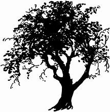 Image result for Pretty Tree Silhouette