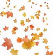 Image result for Leaves Falling Sketch PNG