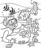 Image result for Underwater Animals Coloring Pages