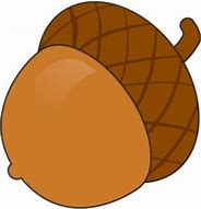 Image result for Giant Acorn Cartoon