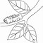 Image result for Coloring Page of Branch