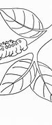 Image result for Branch Coloring Cartoons