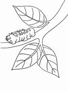 Image result for Coloring Page of Branch