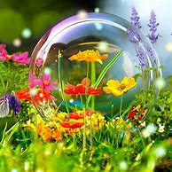 Image result for Nature 3D Digital Art