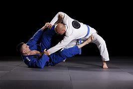 Image result for Jiu-Jitsu Moves