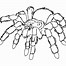 Image result for Cute Spider Outline