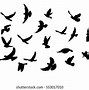 Image result for Silhouette of a Bird Flying