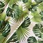 Image result for Tropical Leaf Fabric