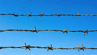 Image result for Barbed Wire Army