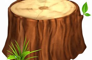 Image result for Tree Trunk Clip Art