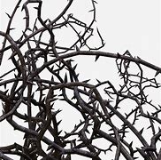 Image result for Florante Trapped in Thorns and Vines