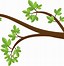 Image result for Tree Branch Cartoon Image