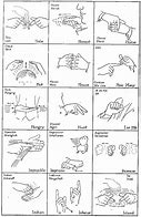 Image result for Indian Sign Language Clip Art