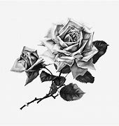 Image result for Brown Flower Drawing