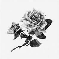 Image result for Brown Flower Drawing