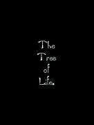 Image result for Haindl Kabbalah Tree of Life Poster