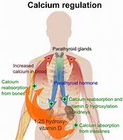 Image result for Zone Regulation Chart