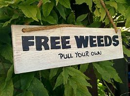 Image result for Rustic Barn Signs