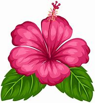 Image result for Tropical Vines Clip Art