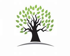 Image result for Tree Logo Green Email