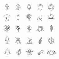 Image result for Tree Types Line Art