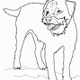 Image result for Dog Bone Coloring Page