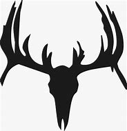 Image result for Deer Skull Side View Clip Art