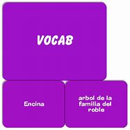 Image result for Spanish Vocab Words