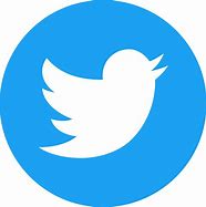 Image result for Twitter App Icon