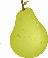 Image result for Pear Vector