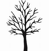 Image result for Vector Tree Branch Coloring