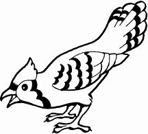 Image result for Cartoon Bird Coloring Pages