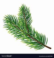 Image result for Tree Branch Icon