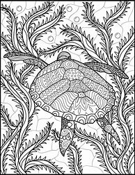 Image result for Adult Ocean Coloring Book