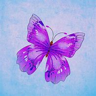 Image result for Blue Morpho Butterfly On Leaf