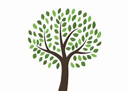 Image result for Blank Family Tree Clip Art Black and White