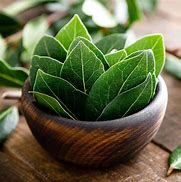 Image result for Bay Leaf for Cooking