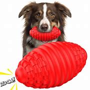 Image result for Chew Proof Dog Toys