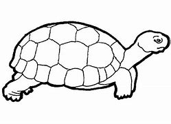 Image result for Drinking Turtle Clip Art Black and White