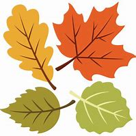 Image result for Aspen Leaf Clip Art