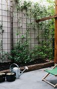 Image result for Garden Vegetable Greenscreen