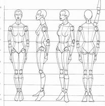 Image result for 8 Head Body Proportions