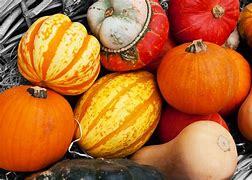 Image result for Fall Harvest Coloring Pages Printable