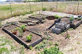 Image result for Community Garden Plots