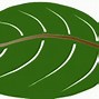 Image result for Kids in Leaves Clip Art